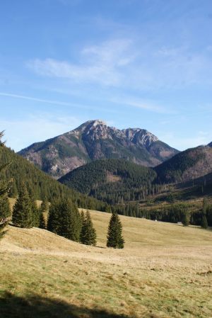 Wycieczka 3e 50